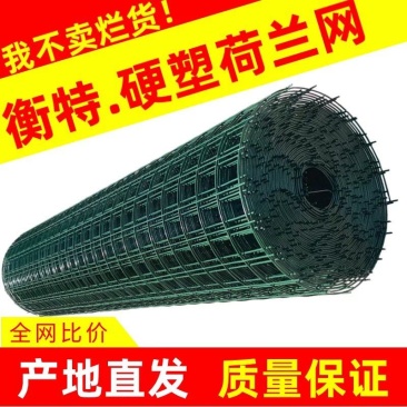 鸡网养殖荷兰网绿色网格铁丝围栏网防护网拦鸡网鸭鹅圈羊网
