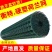 鸡网养殖荷兰网绿色网格铁丝围栏网防护网拦鸡网鸭鹅圈羊网
