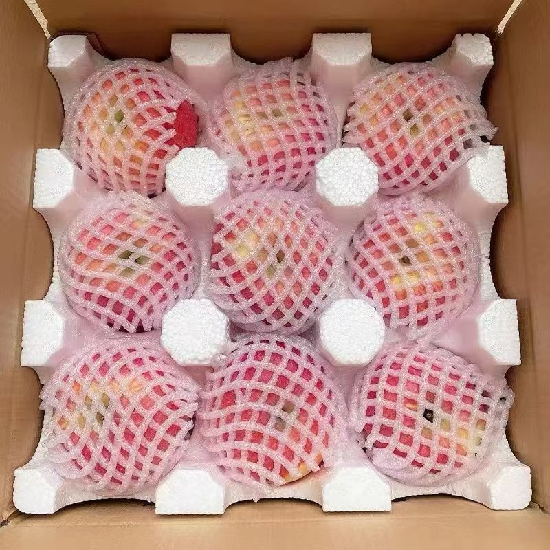 水果专用泡沫托盘工厂直发量大从优全国发货欢迎来电洽谈