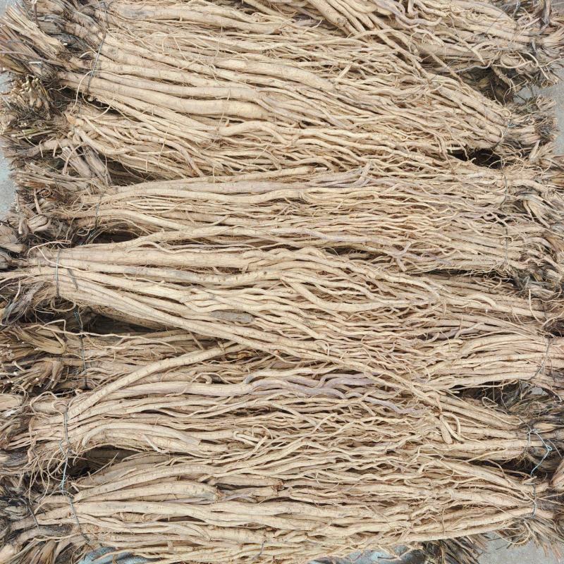 甘肃本地关防风，现货秒发，产地直发