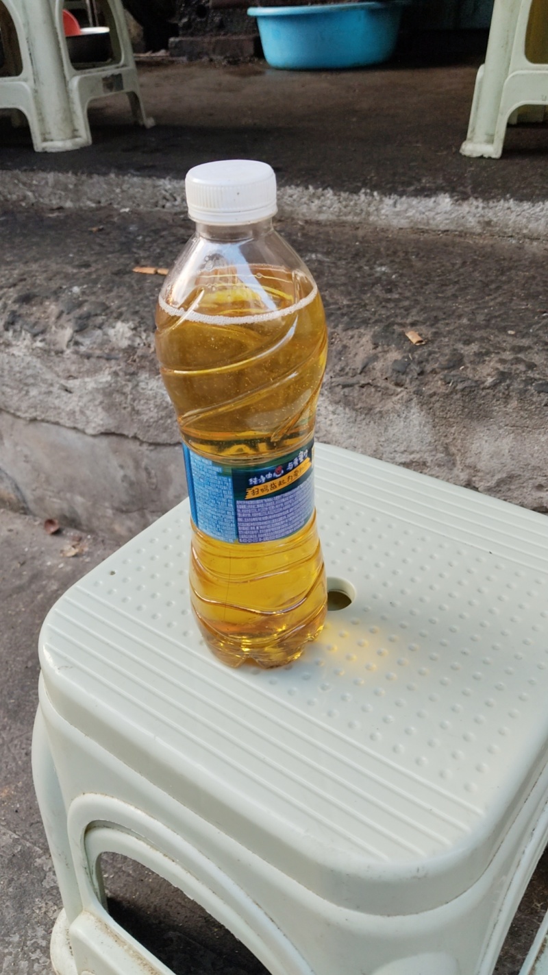 正宗纯山茶籽油