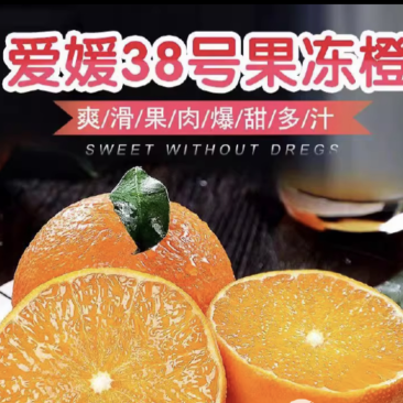 湖南湘西爱媛果冻橙爱媛38红美人大量上市中