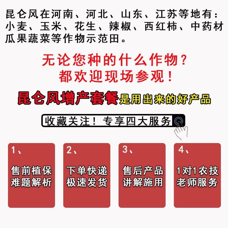 昆仑风叶面肥辣椒芹菜玉米药材抗病增产生根壮苗膨果抗重茬
