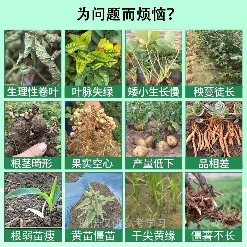 昆仑风叶面肥辣椒芹菜玉米药材抗病增产生根壮苗膨果抗重茬