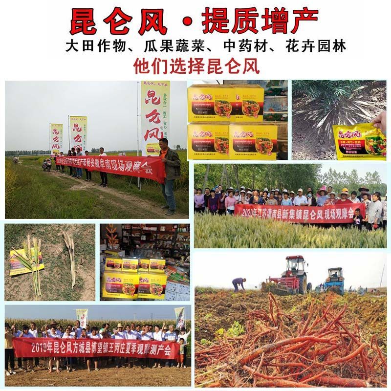 昆仑风叶面肥辣椒芹菜玉米药材抗病增产生根壮苗膨果抗重茬