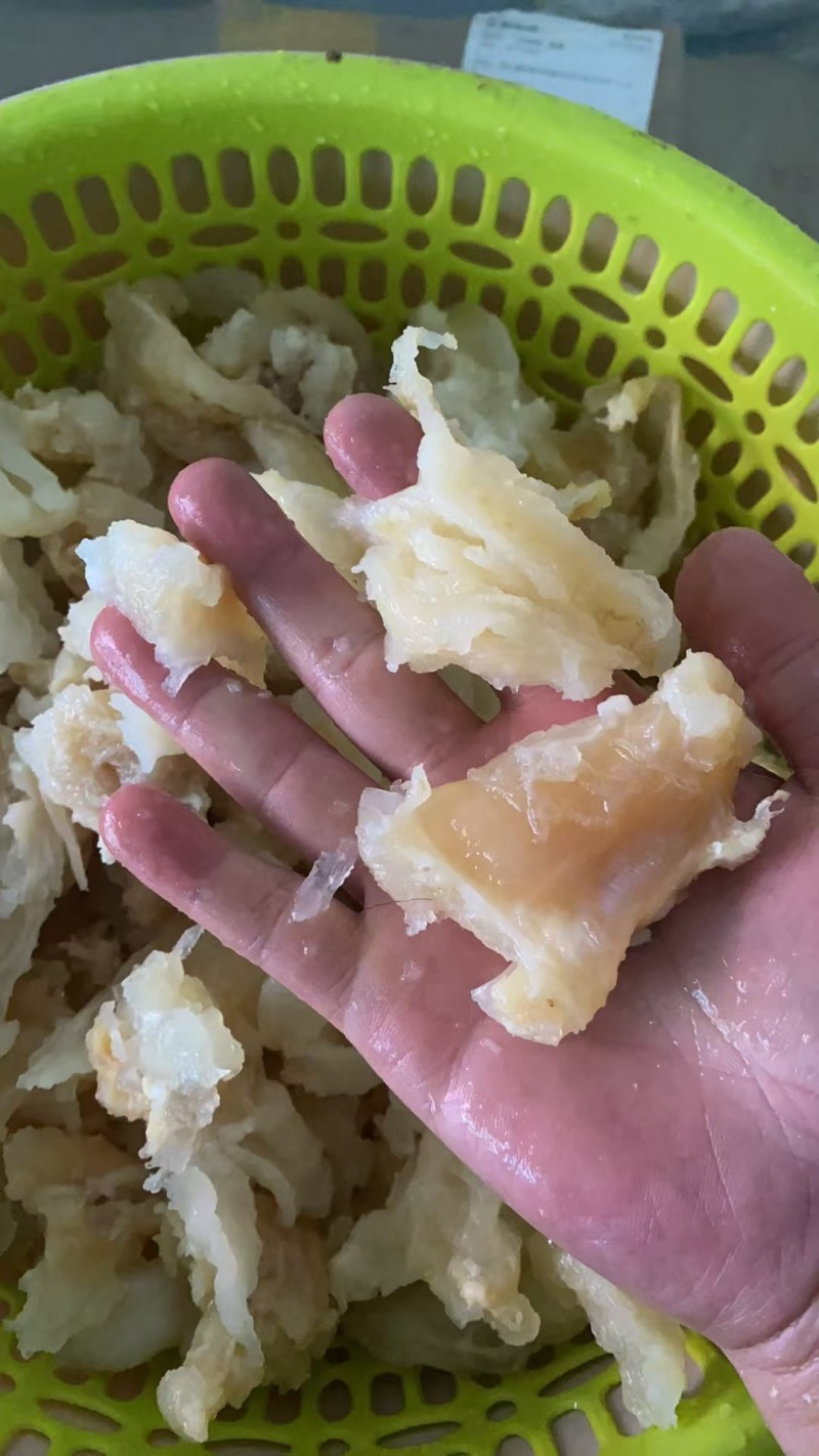牛蹄筋小副筋牛碎筋水发蹄筋