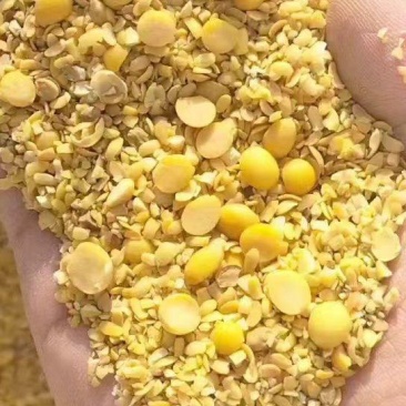 碎大豆，适合养殖豆，瓜果蔬菜种植豆，榨油压饼！