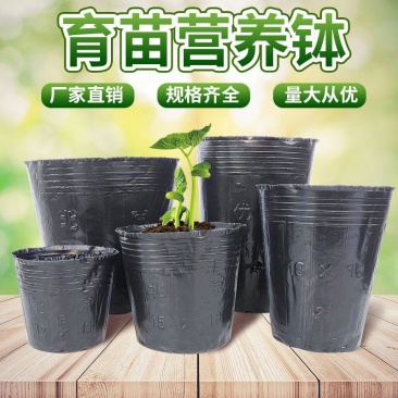 营养杯育苗杯一次性黑色大号播种植塑料育苗盆
