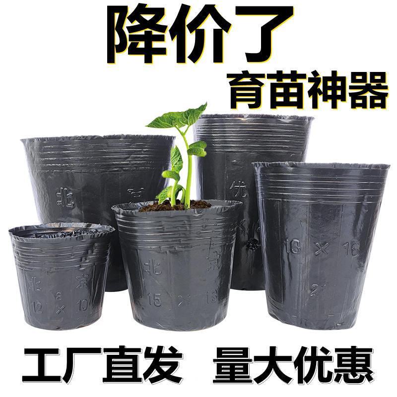 营养杯育苗杯一次性黑色大号播种植塑料育苗盆