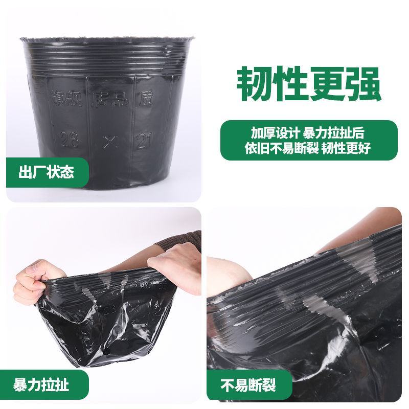 营养杯育苗杯一次性黑色大号播种植塑料育苗盆