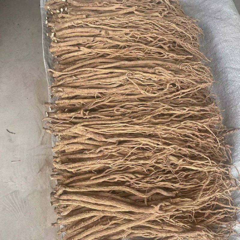 精品防风产地直发甘肃道地药材保真保量欢迎选购