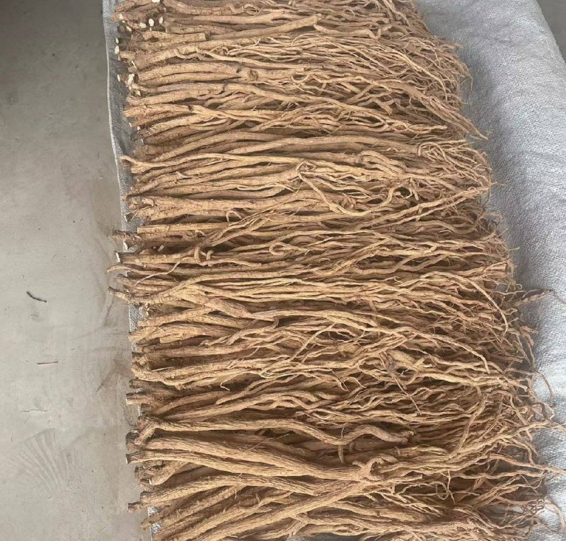 精品防风产地直发甘肃道地药材保真保量欢迎选购