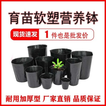 育苗杯育苗盆营养钵育苗营养杯加厚