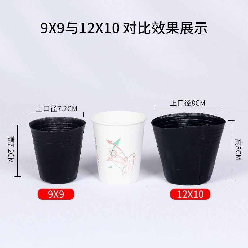 育苗杯育苗盆营养钵育苗营养杯加厚