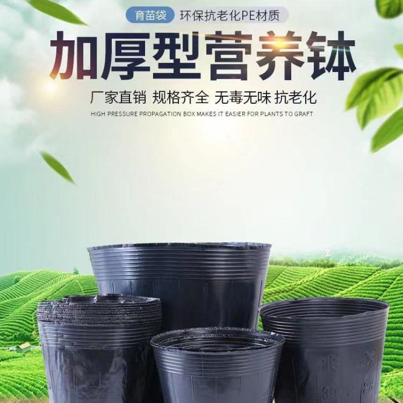 育苗杯育苗盆营养钵育苗营养杯加厚
