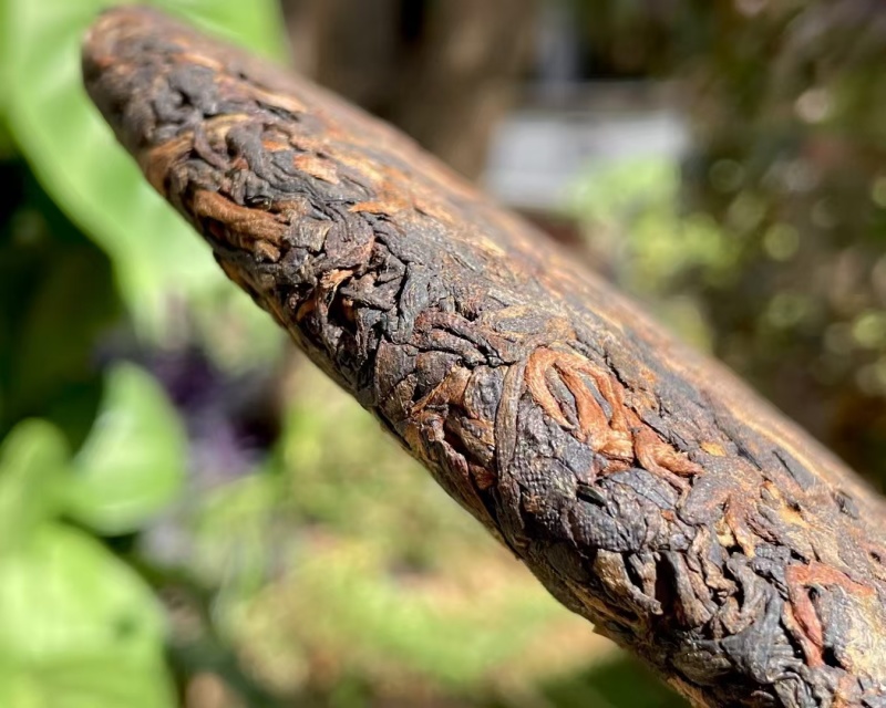 推荐--陈香老熟茶2019年班章大树勐海大树茶熟茶