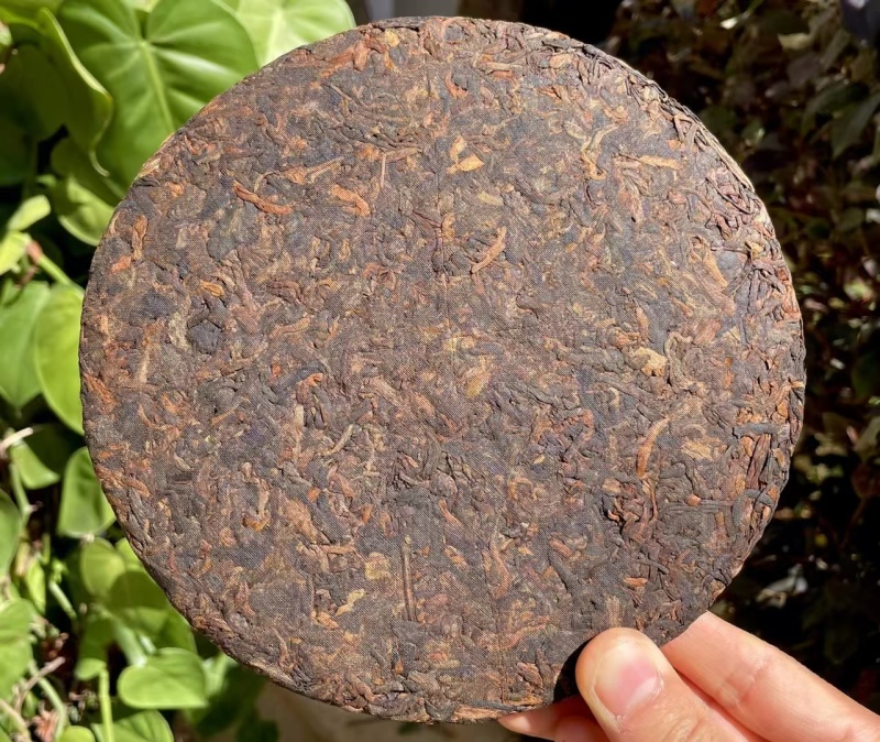 推荐--陈香老熟茶2019年班章大树勐海大树茶熟茶