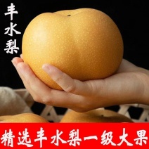 山东丰水梨水果丰水梨多汁梨薄皮新鲜冰糖雪梨黄皮梨