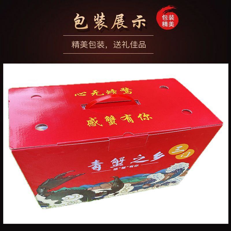三门青蟹鲜活大青蟹现抓现挑渔船外海捕捞螃蟹批发大红鲟