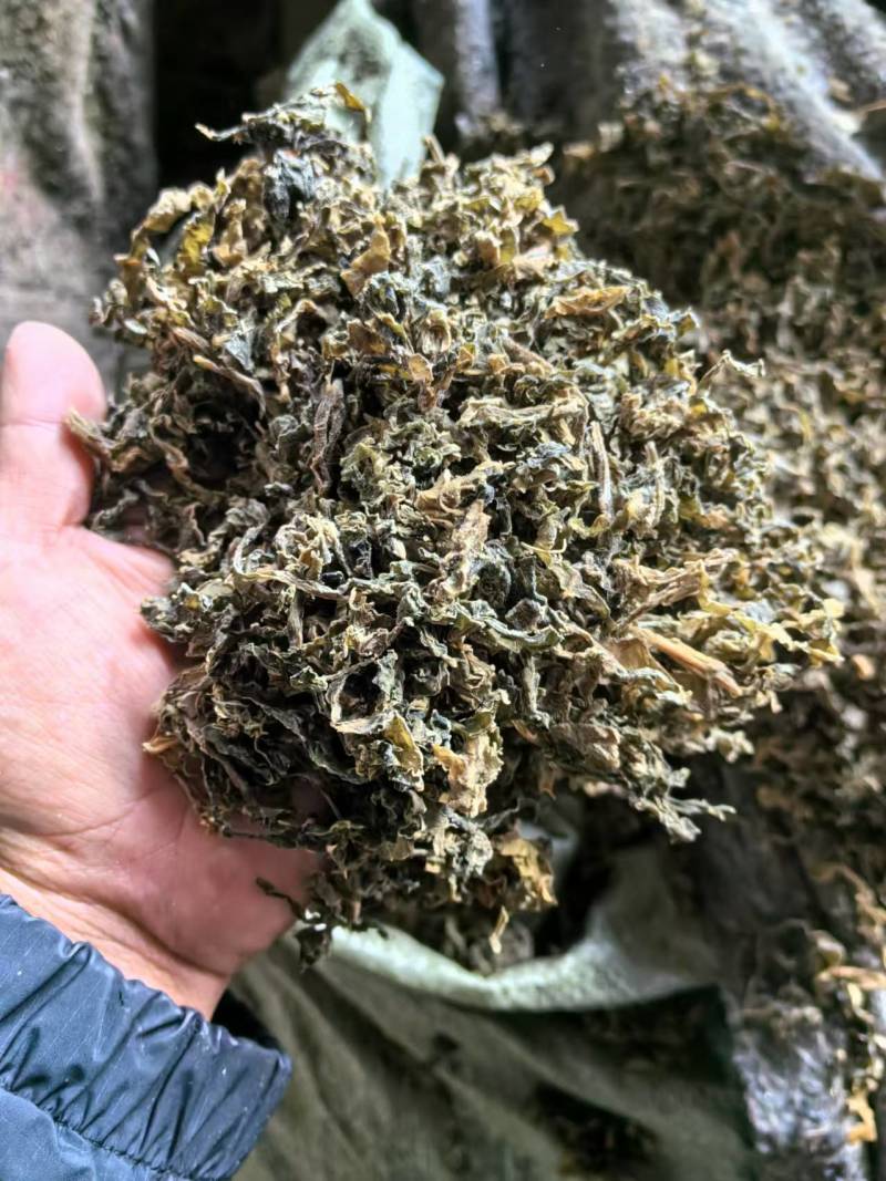 梅干菜精品