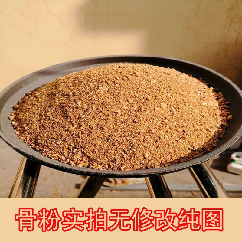狗粮