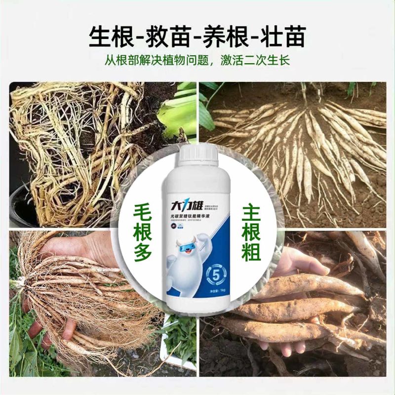 中药材百部天冬金线莲郁金柴胡党参黄叶抗病无激素膨大有机肥