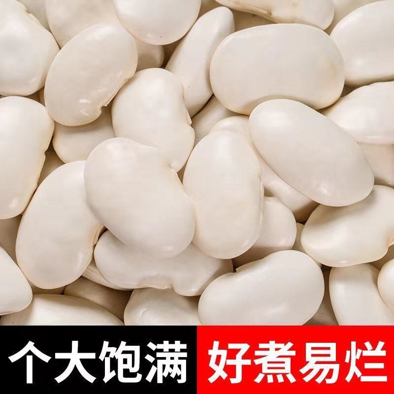 白芸豆精选白芸豆大颗粒手选一公斤起批