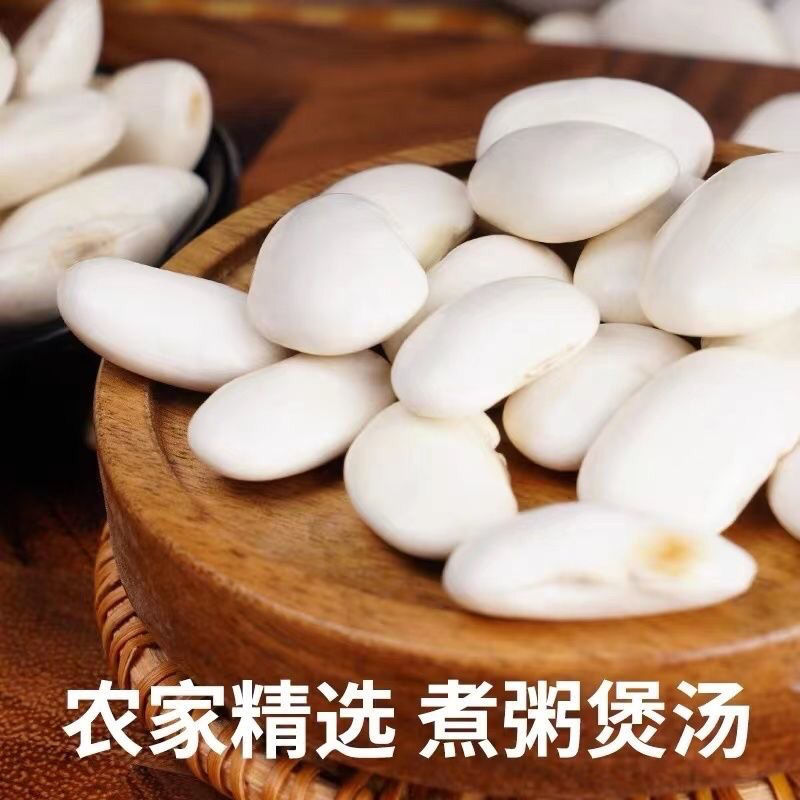 白芸豆精选白芸豆大颗粒手选一公斤起批