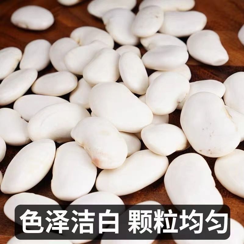 白芸豆精选白芸豆大颗粒手选一公斤起批