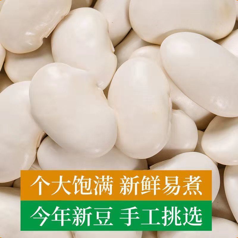 白芸豆精选白芸豆大颗粒手选一公斤起批
