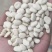 白芸豆精选白芸豆大颗粒手选一公斤起批