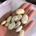 白芸豆精选白芸豆大颗粒手选一公斤起批