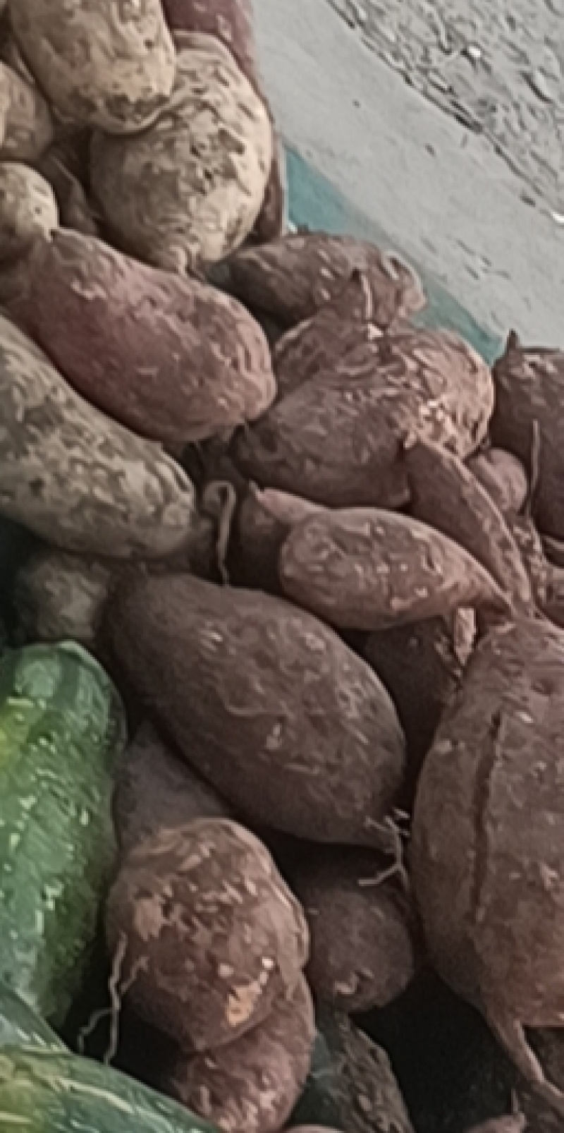黄心红薯