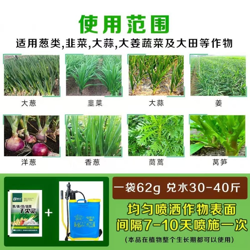 葱姜韭蒜干尖灵黄叶灵中量元素水溶肥叶面肥预防黄叶干尖卷叶病