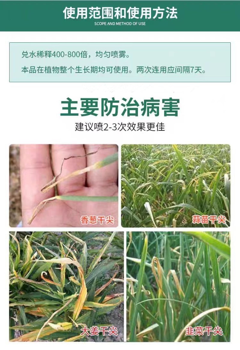 葱姜韭蒜干尖灵黄叶灵中量元素水溶肥叶面肥预防黄叶干尖卷叶病
