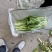 湖北嘉鱼本地白菜心毛白菜苔持续供应