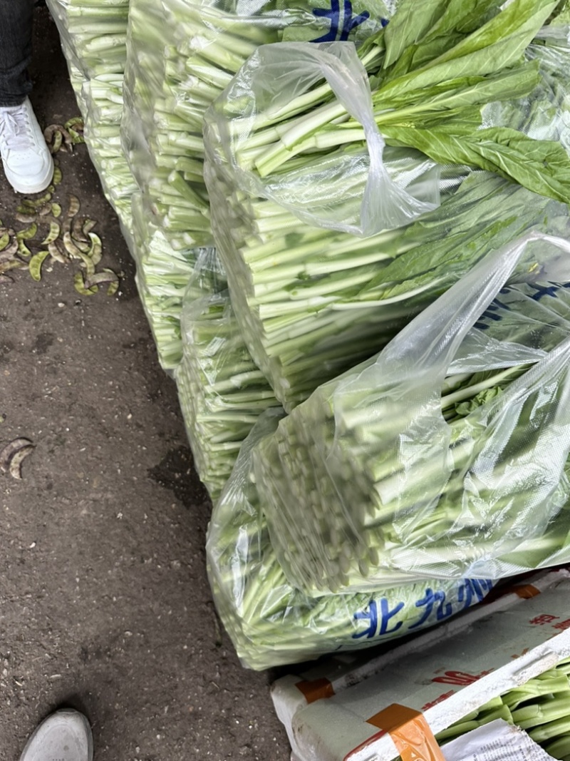 湖北嘉鱼本地白菜心毛白菜苔持续供应