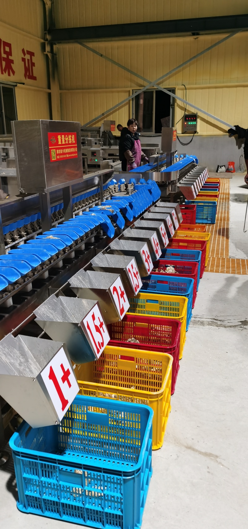 乳山本地生蚝肥了，新厂区，货源充足，质量保障！欢迎采购！