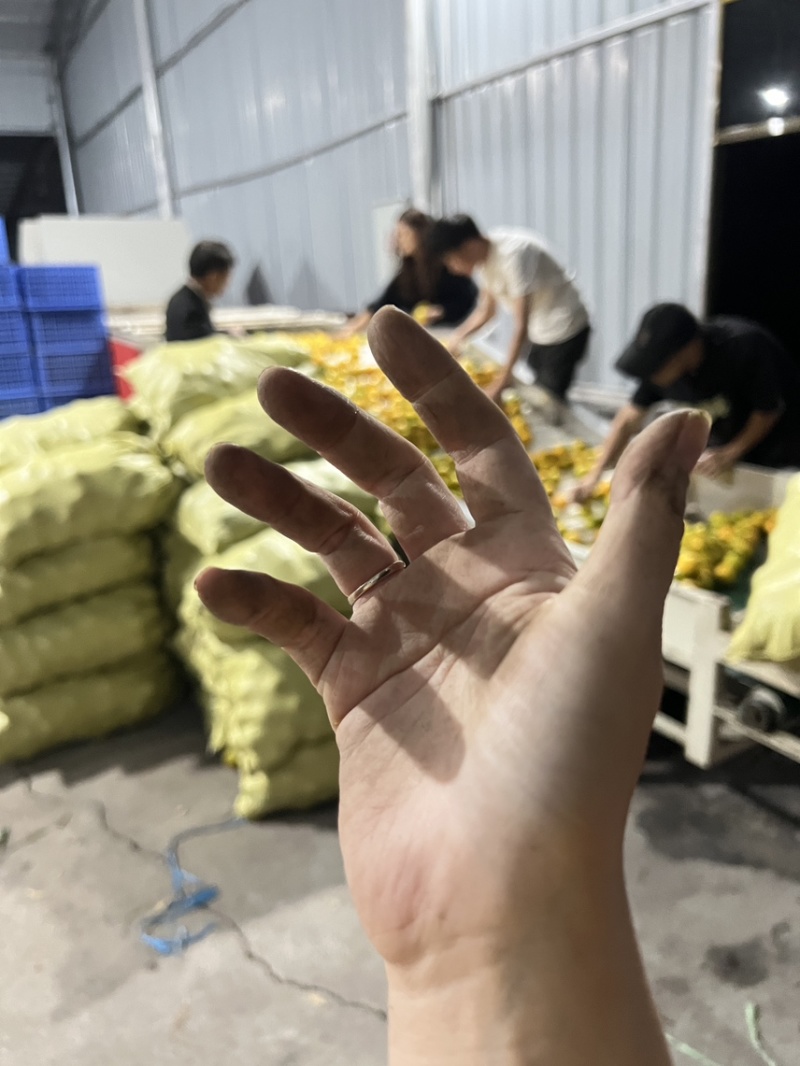 永兴冰糖橙锁定橙子妹，霞霞出品一定是精品✌️✌️