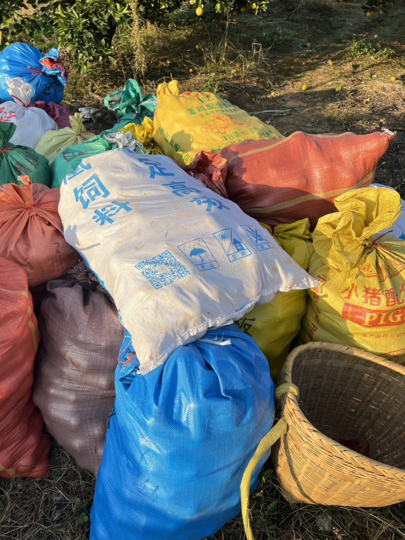 永兴冰糖橙锁定橙子妹，霞霞出品一定是精品✌️✌️