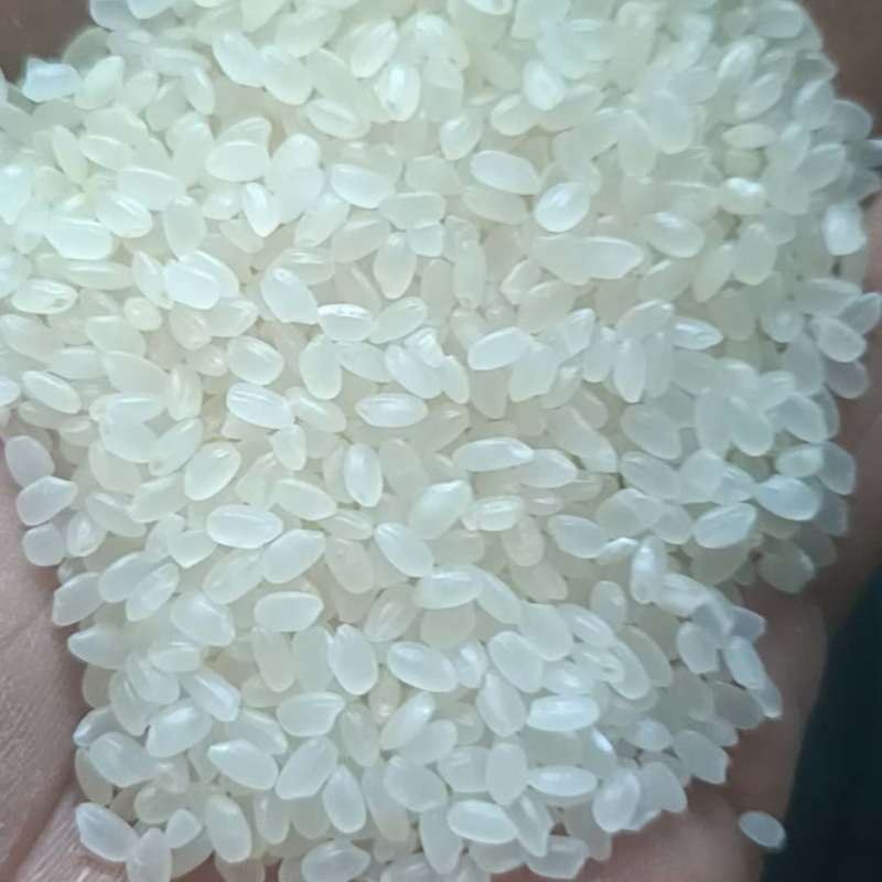 珍珠米