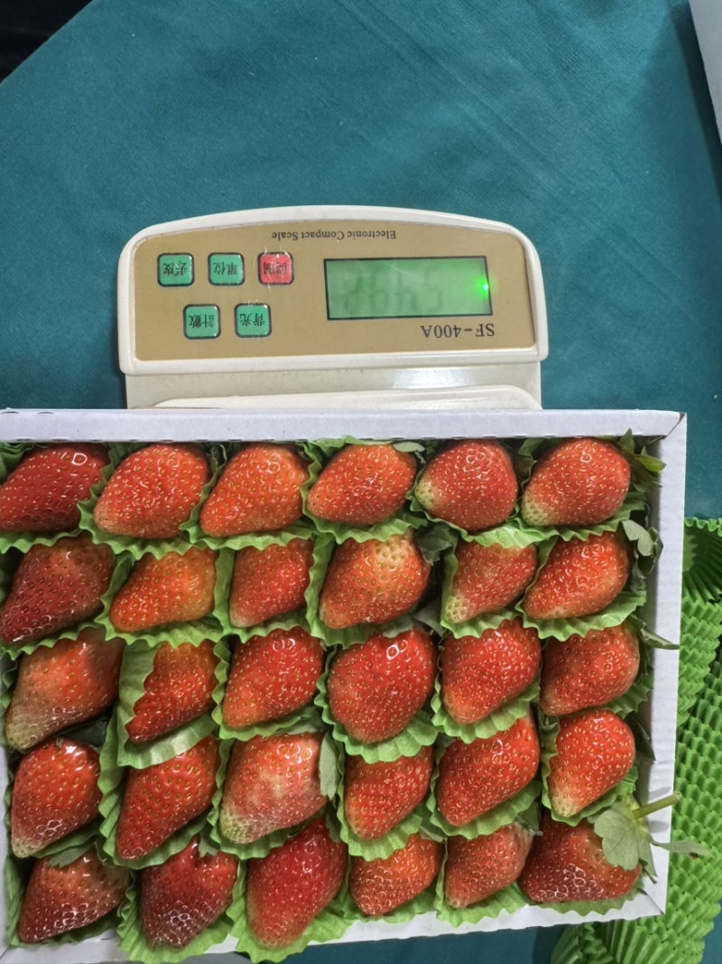 妙香甜草莓，粉玉，梦之莹。都有