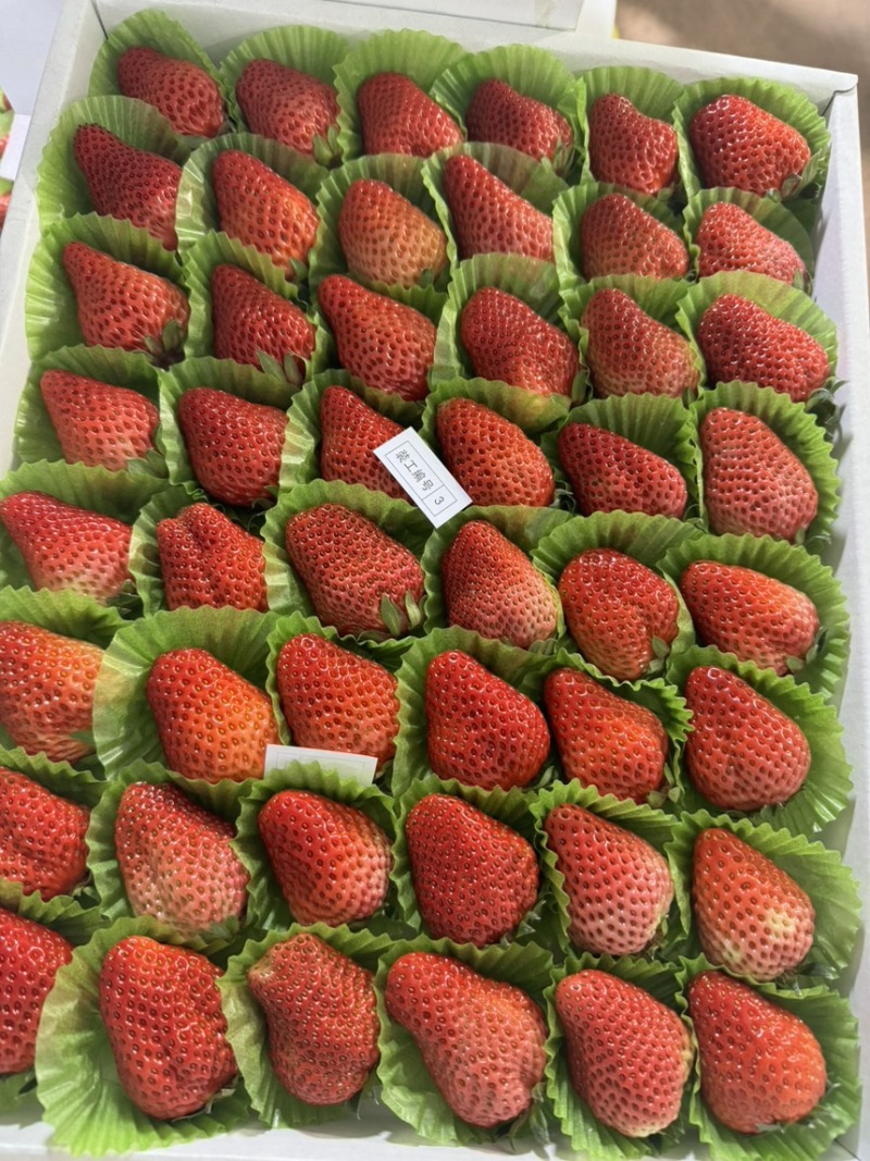 妙香甜草莓，粉玉，梦之莹。都有