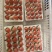 云南冬草莓，粉玉，随株，梦之莹
