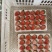 云南冬草莓，粉玉，随株，梦之莹