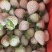 云南冬草莓，粉玉，随株，梦之莹