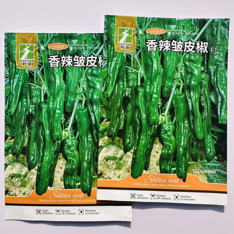 香辣皱皮椒种子早熟口感薄皮小皱皮辣椒种籽羊角皮薄高产特辣