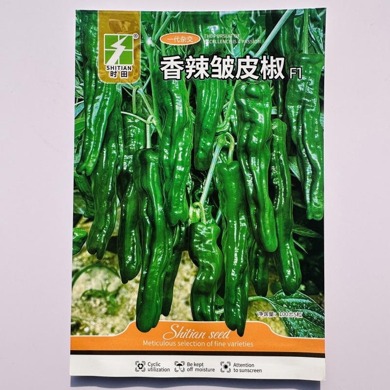香辣皱皮椒种子早熟口感薄皮小皱皮辣椒种籽羊角皮薄高产特辣