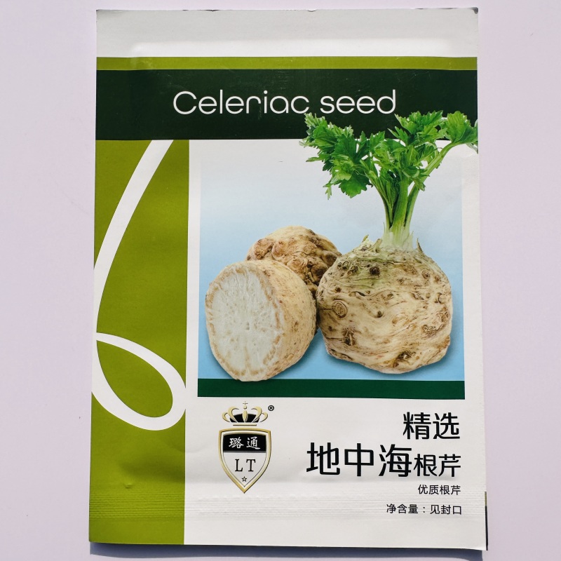 香味浓根芹种子根洋芹种子清香脆嫩春秋两季栽培球根塘蒿