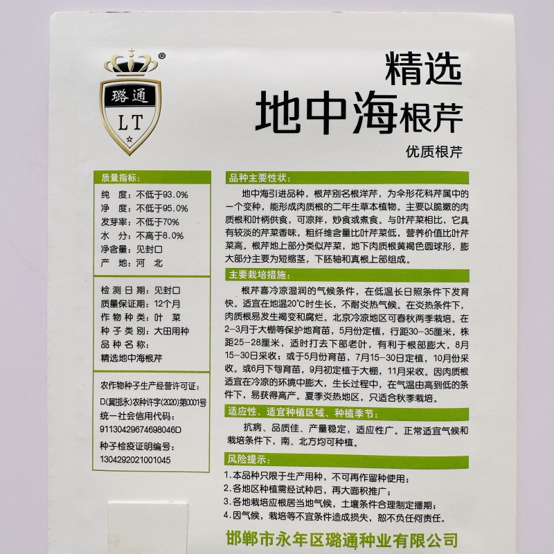 香味浓根芹种子根洋芹种子清香脆嫩春秋两季栽培球根塘蒿
